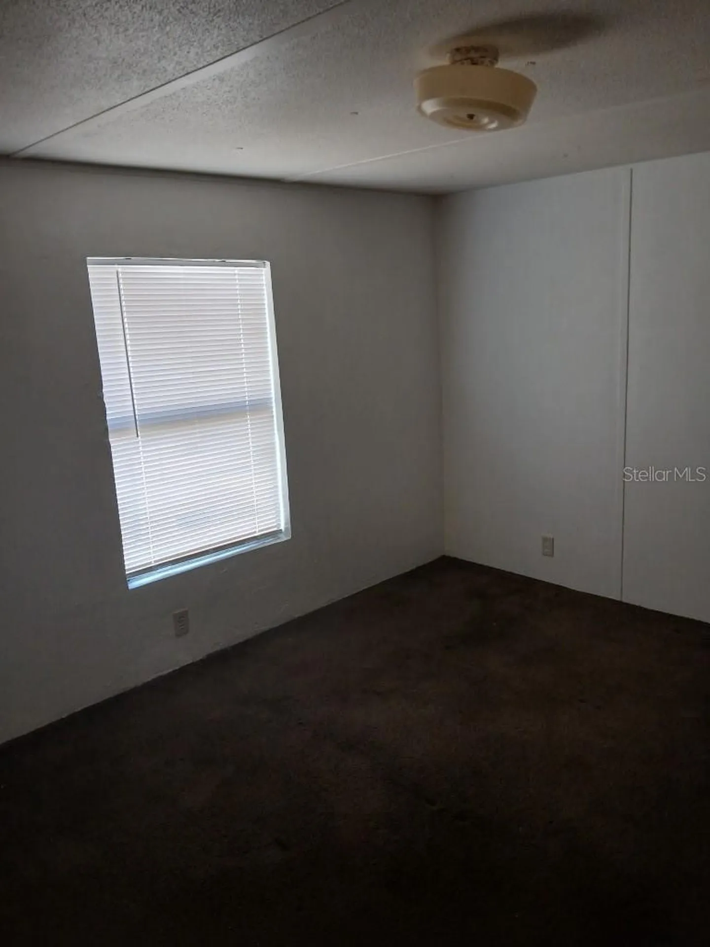 104 Ash Street Hawthorne FL 32640