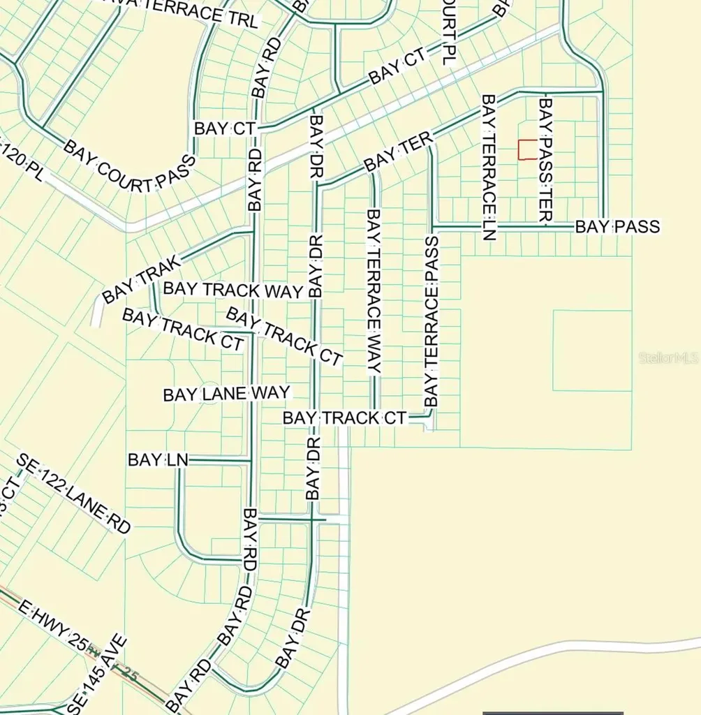 6 Bay Pass Terrace Ocklawaha FL 32179