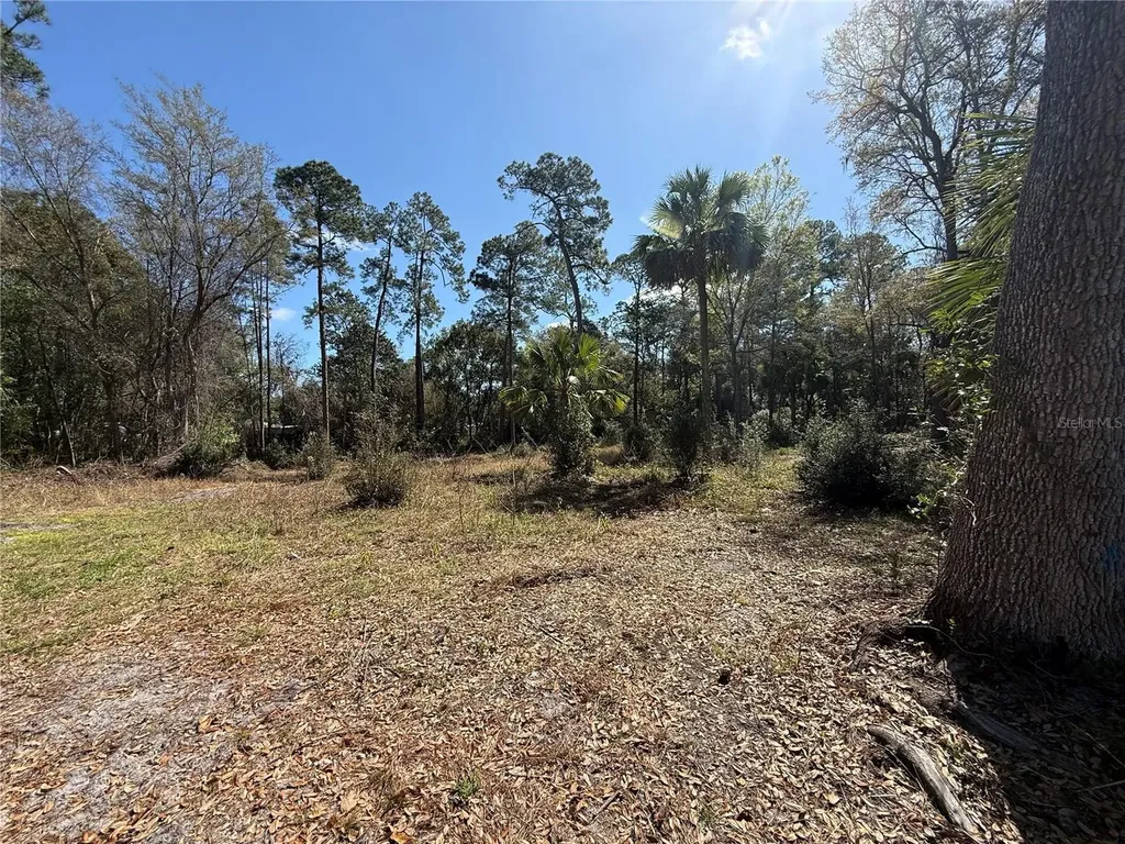 Tbd Pennsylvania Street Paisley FL 32767