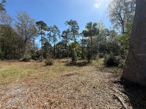 Tbd Pennsylvania Street Paisley FL 32767
