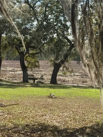 17645 NE 61st Street Road Silver Springs FL 34488