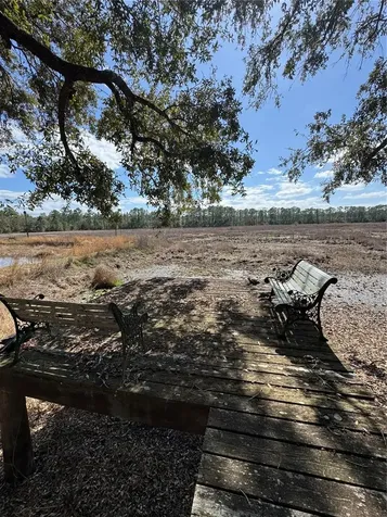 17645 NE 61st Street Road Silver Springs FL 34488