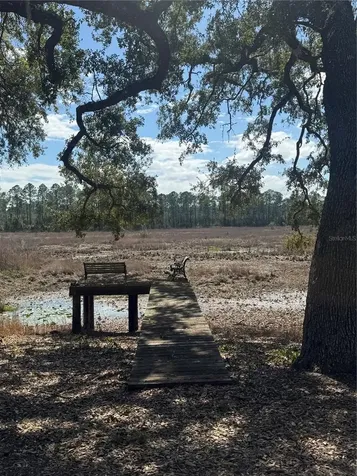 17645 NE 61st Street Road Silver Springs FL 34488