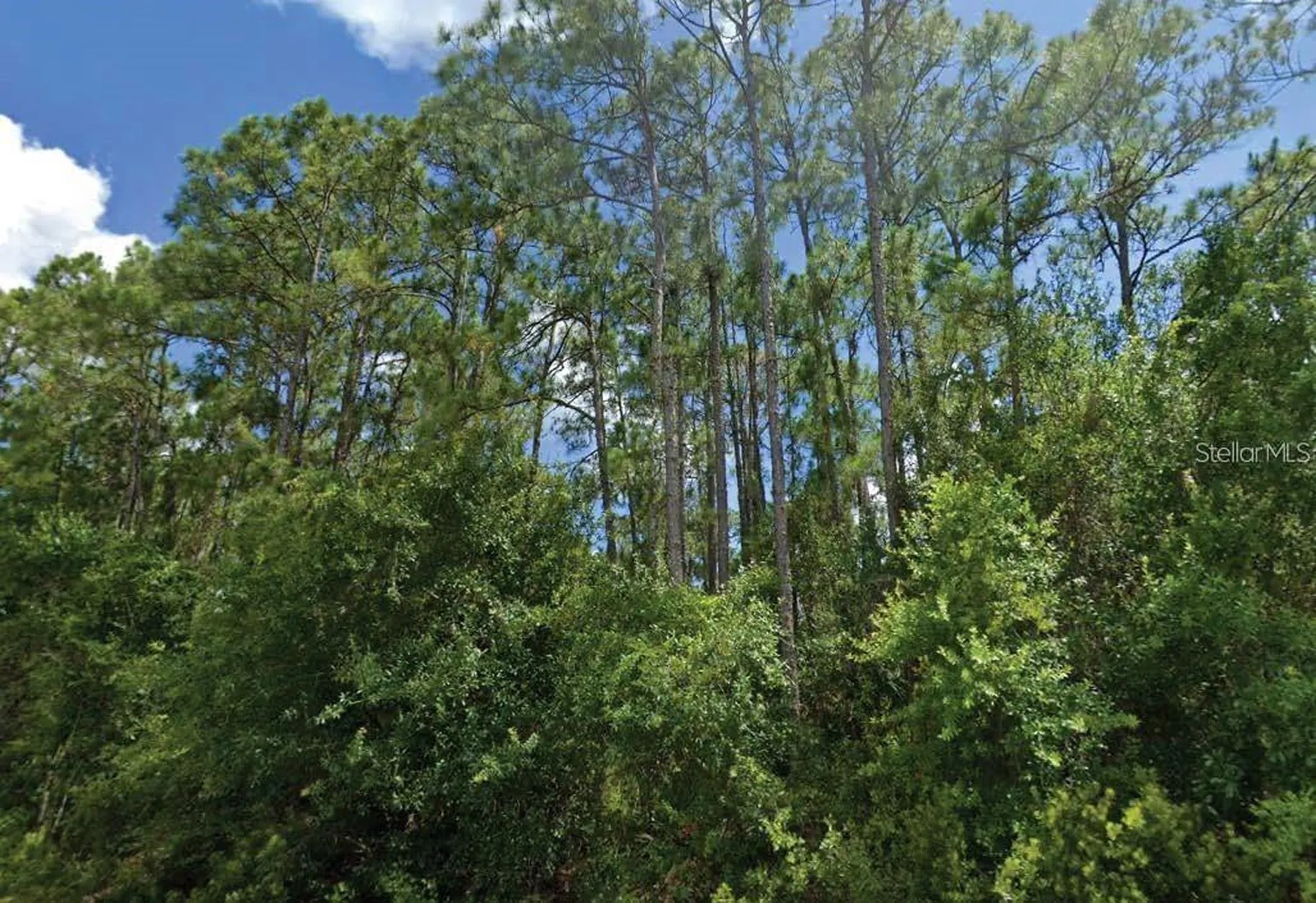 Langsom Lane North Port FL 34286