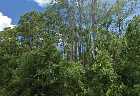 Langsom Lane North Port FL 34286