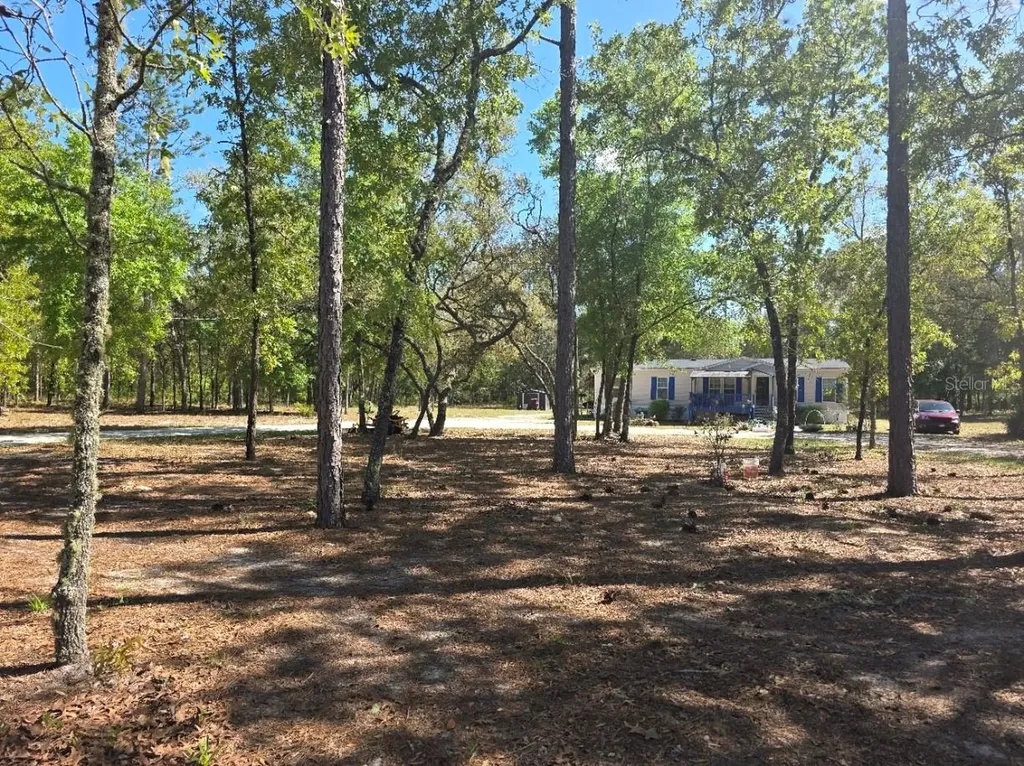 10630 NE 80th Street Bronson FL 32621