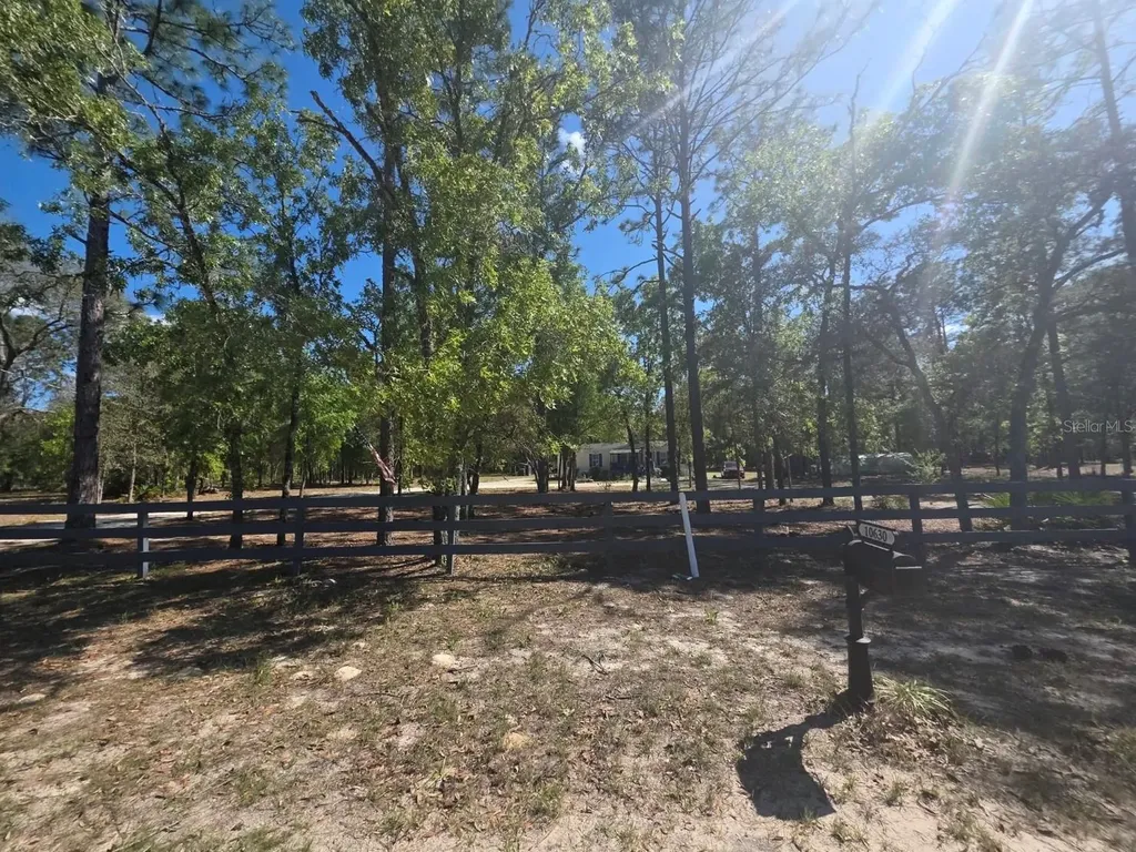 10630 NE 80th Street Bronson FL 32621