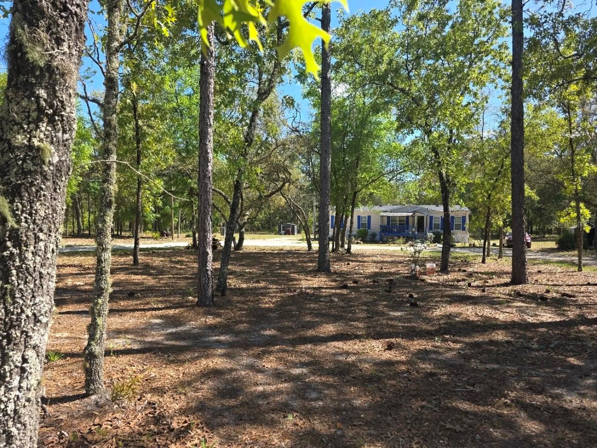 10630 NE 80th Street Bronson FL 32621