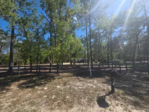 10630 NE 80th Street Bronson FL 32621