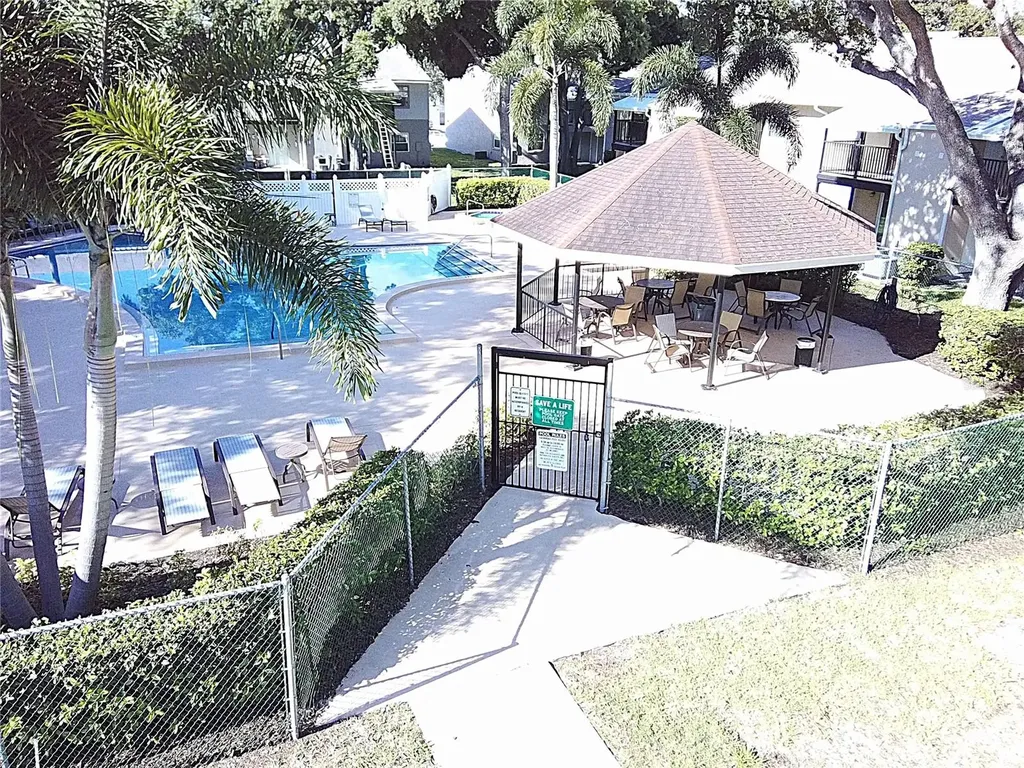 3808 N Oak Drive Tampa FL 33611
