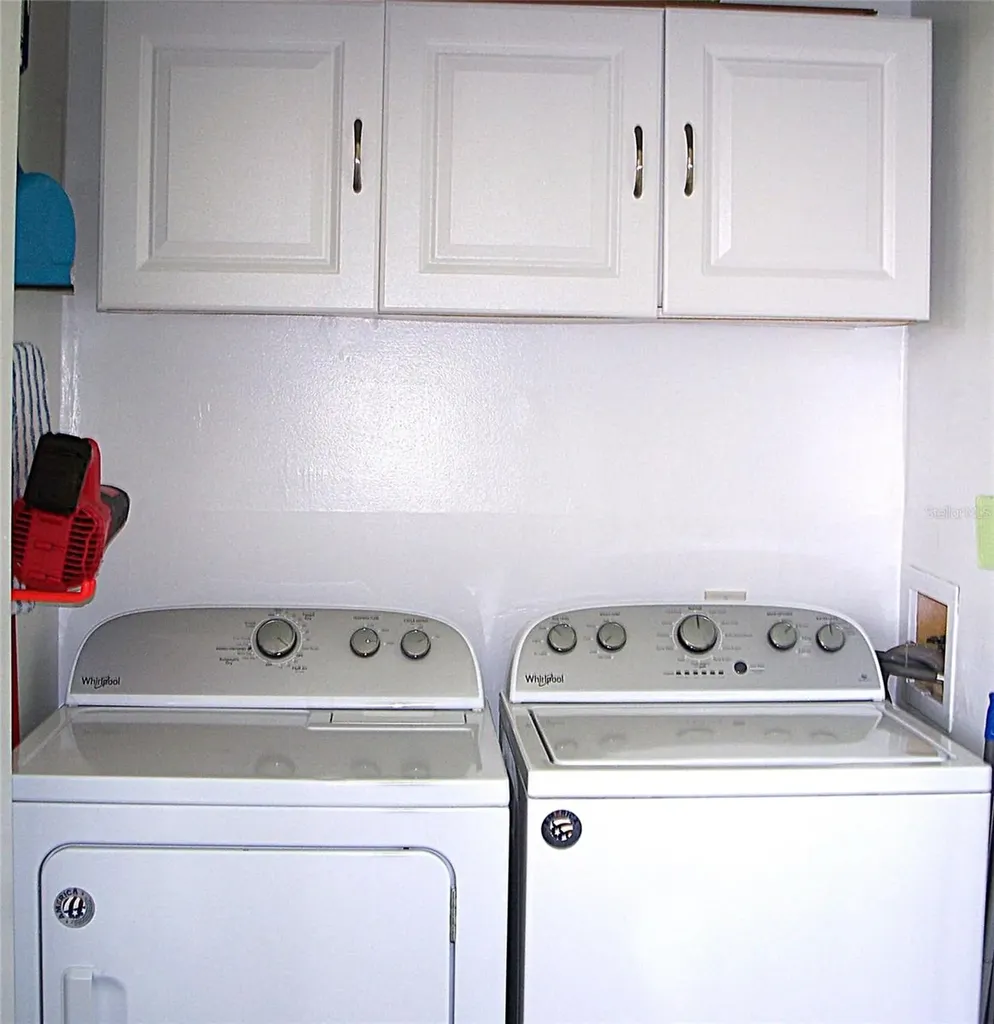 3808 N Oak Drive Tampa FL 33611