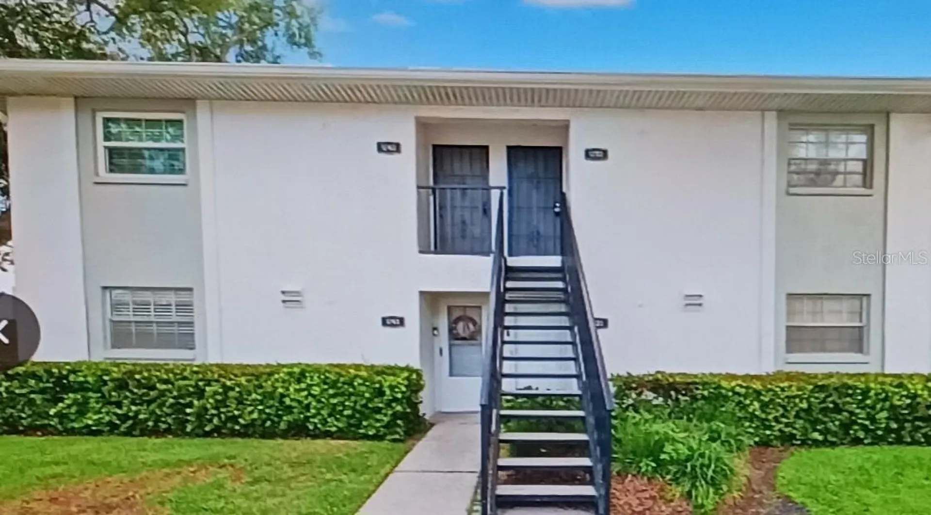 3808 N Oak Drive Tampa FL 33611