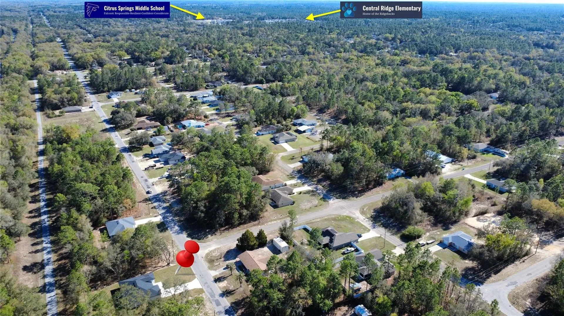 9495 N Sandree Drive Citrus Springs FL 34434