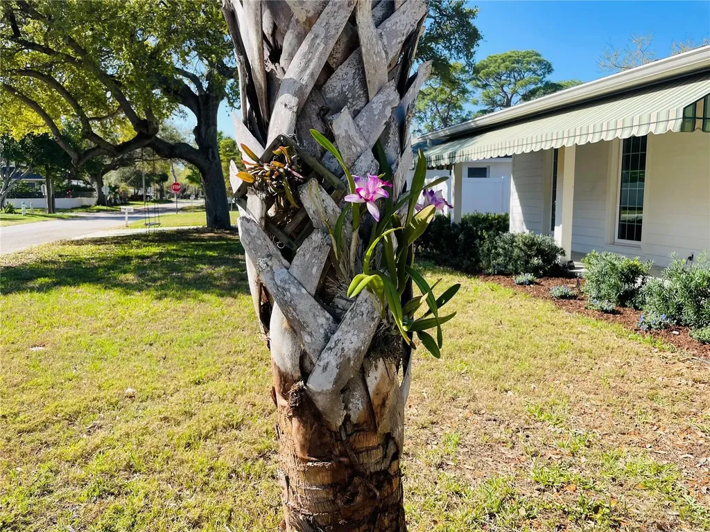 1330 S Jefferson Avenue Sarasota FL 34239