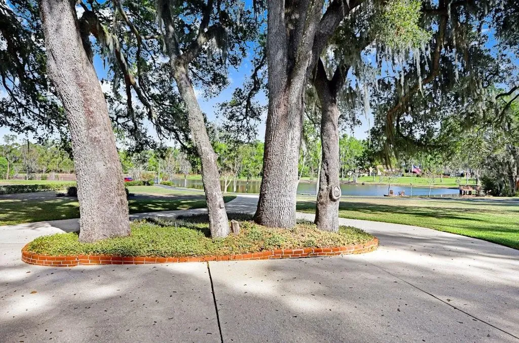 36805 Waterfall Drive Dade City FL 33525