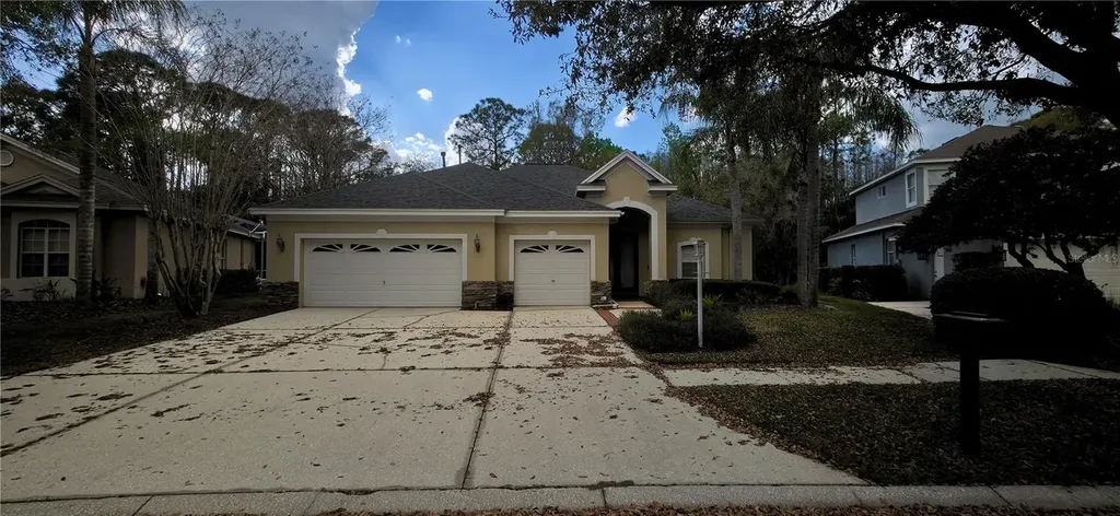 6041 Catlin Drive Tampa FL 33647
