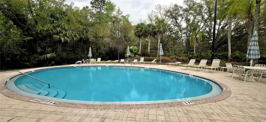 6041 Catlin Drive Tampa FL 33647