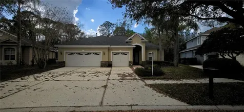 6041 Catlin Drive Tampa FL 33647