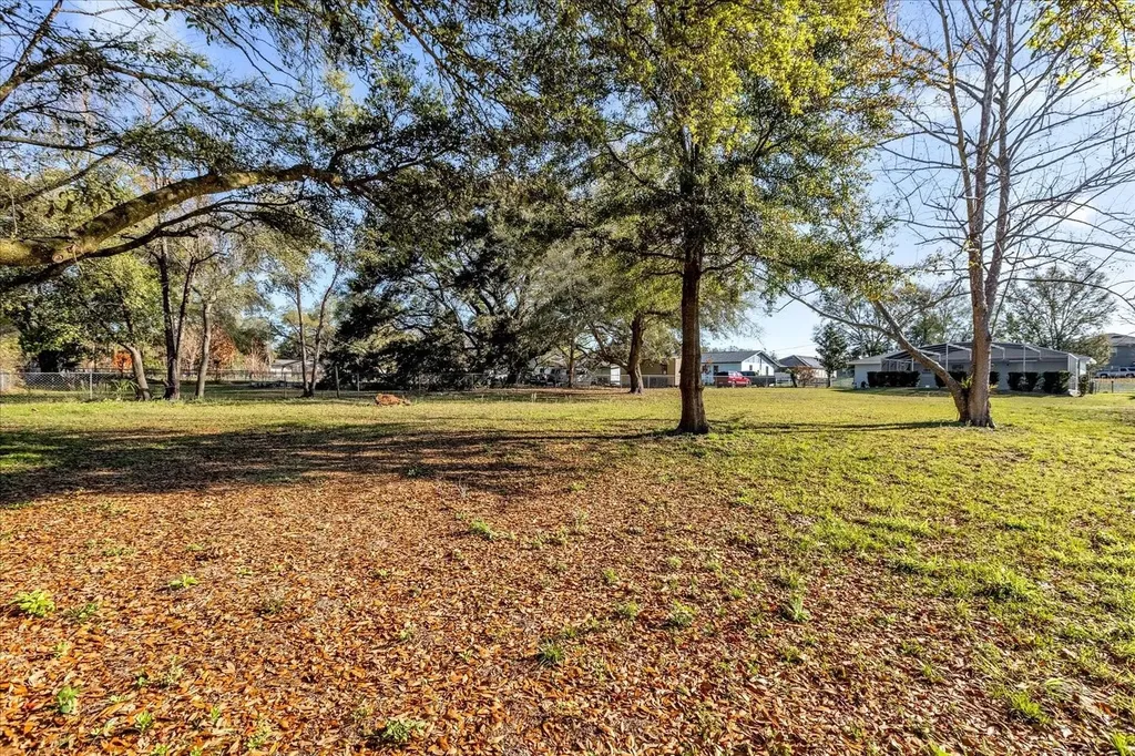 3808 Mohawk Drive Mount Dora FL 32757