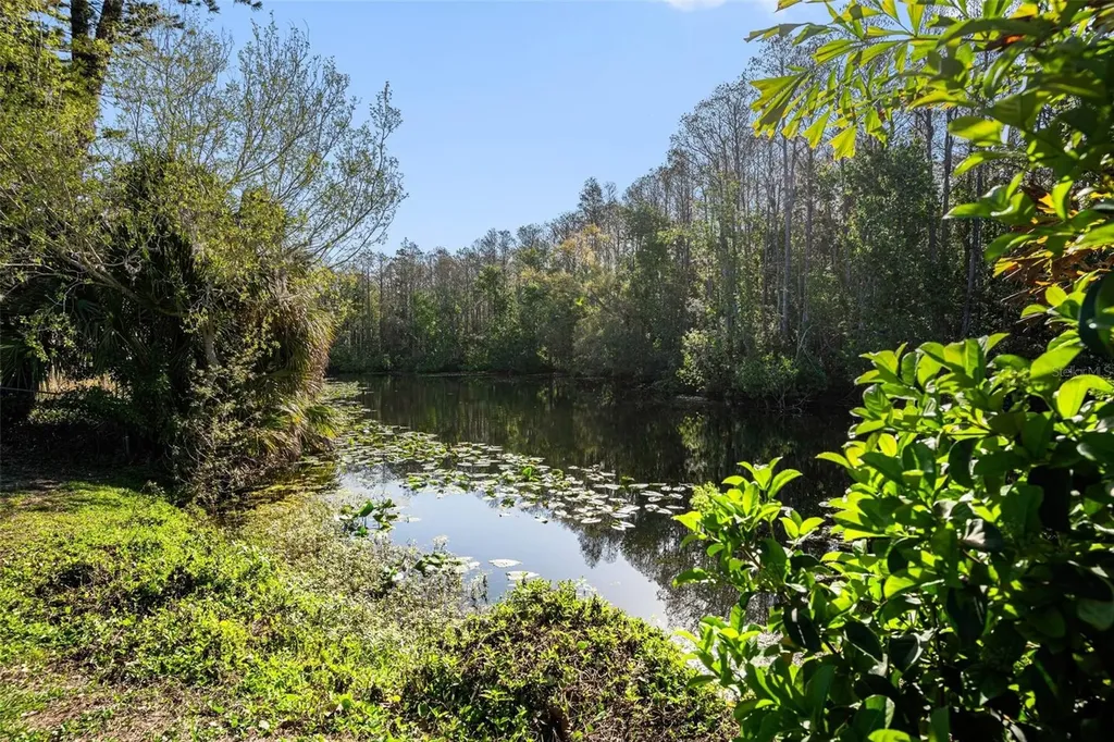 3522 Dellefield Street New Port Richey FL 34655
