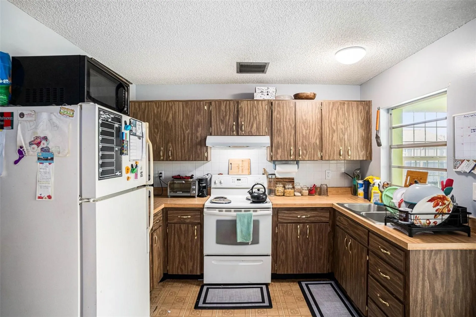 3522 Dellefield Street New Port Richey FL 34655