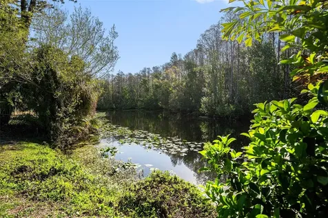 3522 Dellefield Street New Port Richey FL 34655