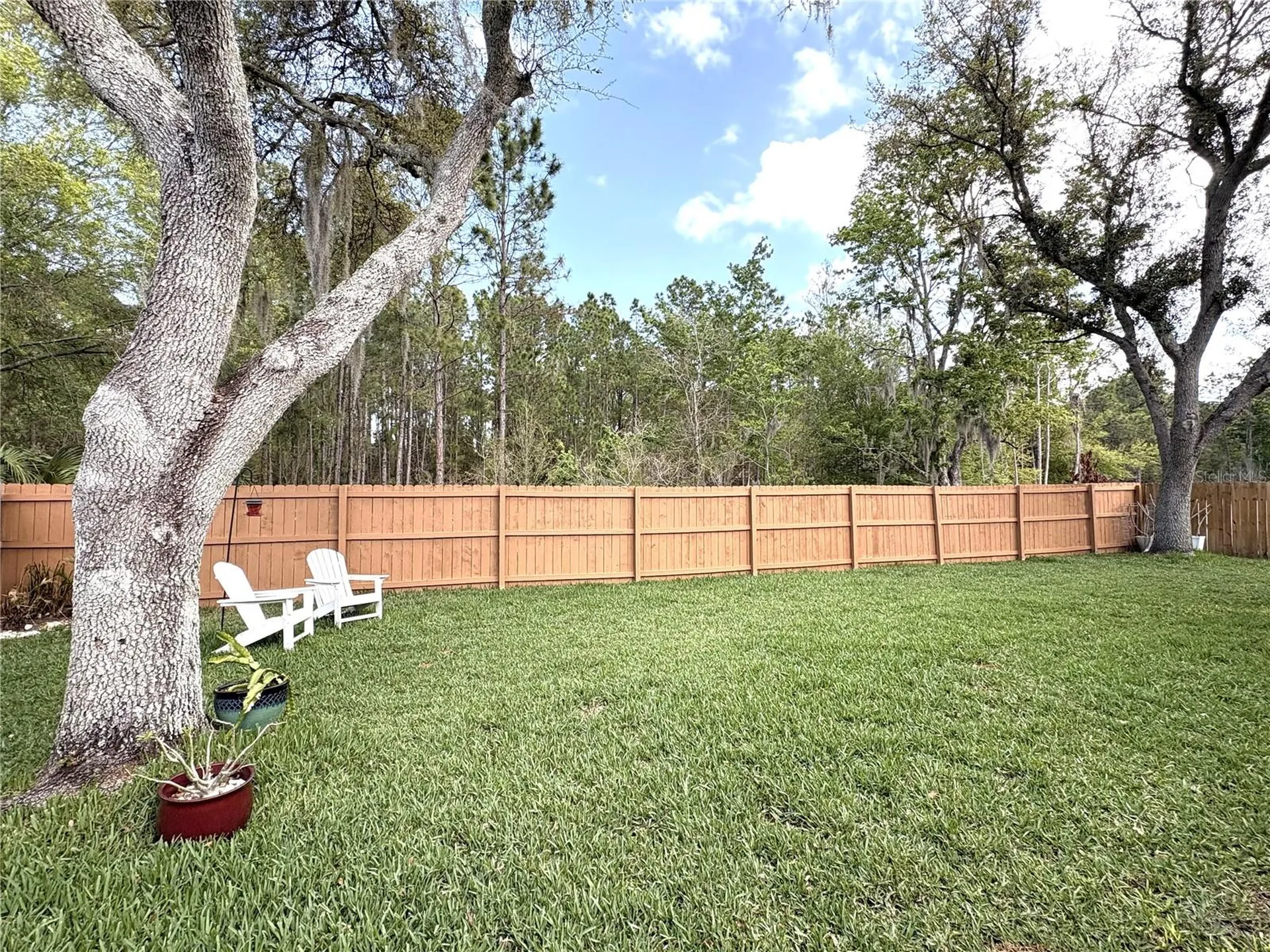 18536 Otterwood Avenue Tampa FL 33647