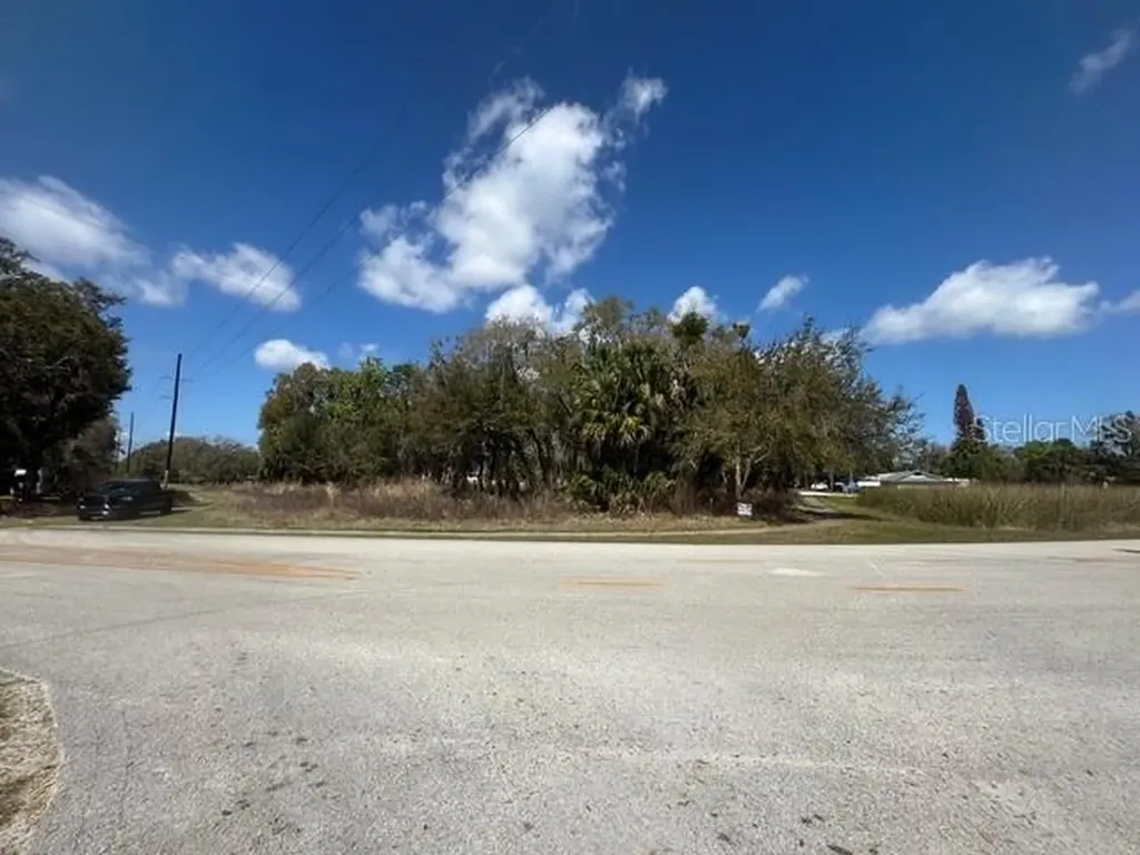 Wallace Road New Smyrna Beach FL 32168