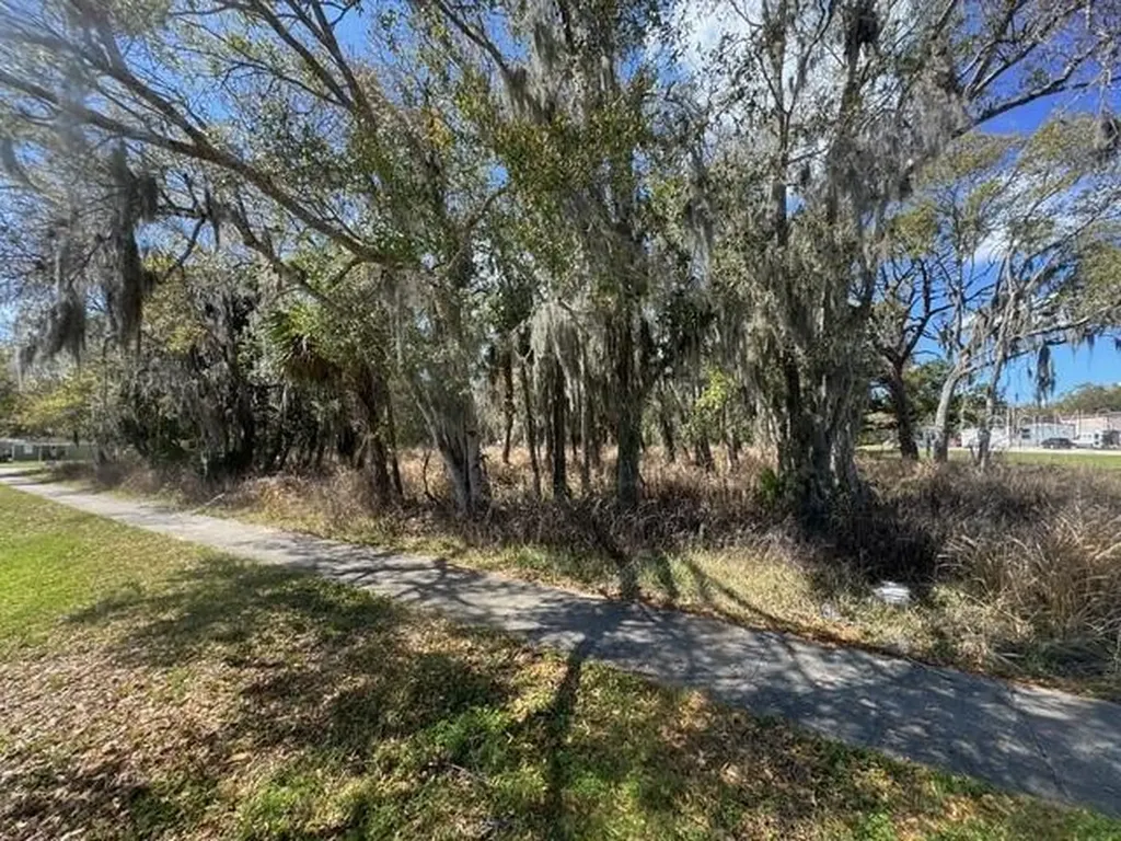 Wallace Road New Smyrna Beach FL 32168