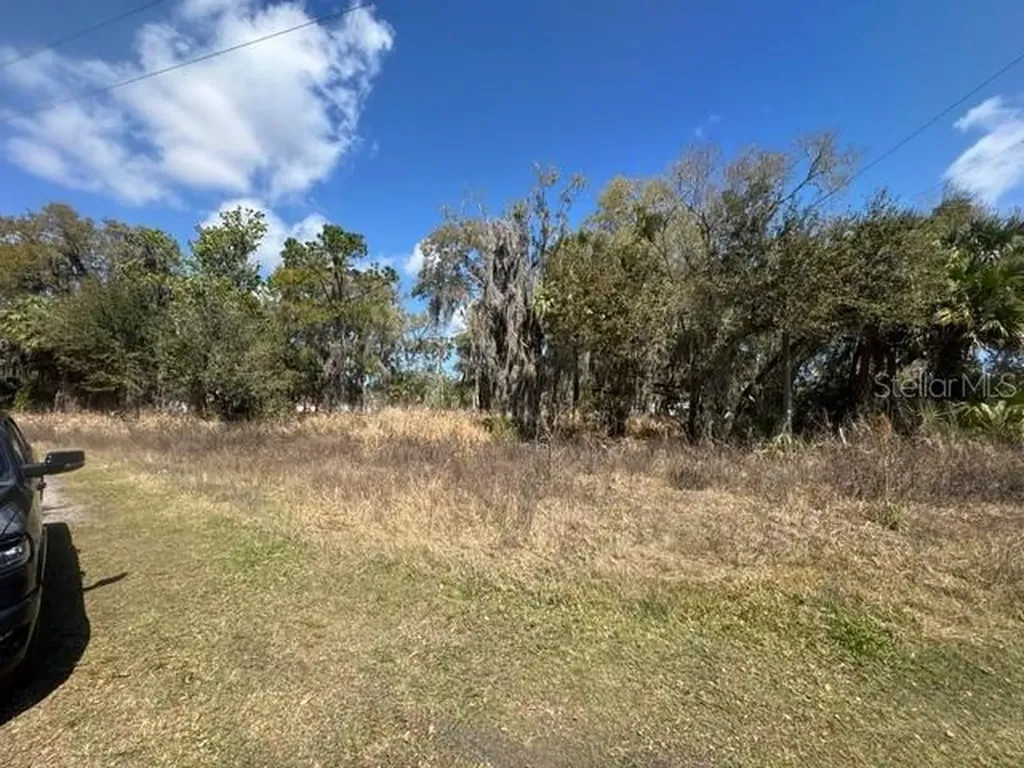 Wallace Road New Smyrna Beach FL 32168