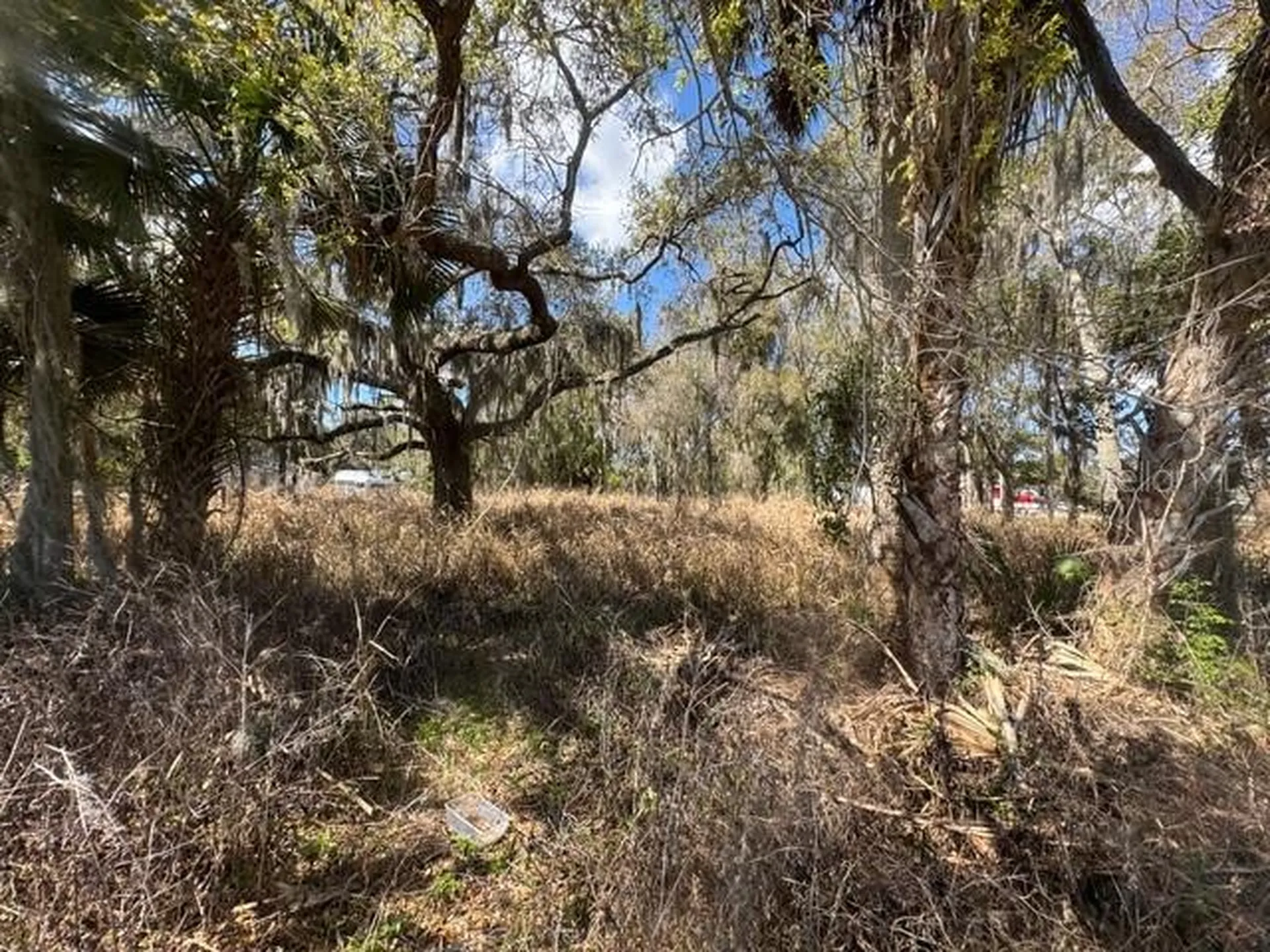 Wallace Road New Smyrna Beach FL 32168