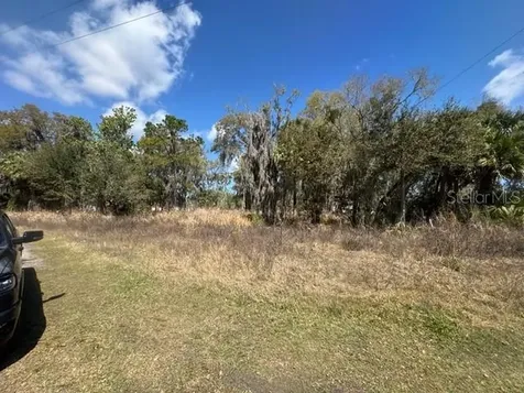Wallace Road New Smyrna Beach FL 32168