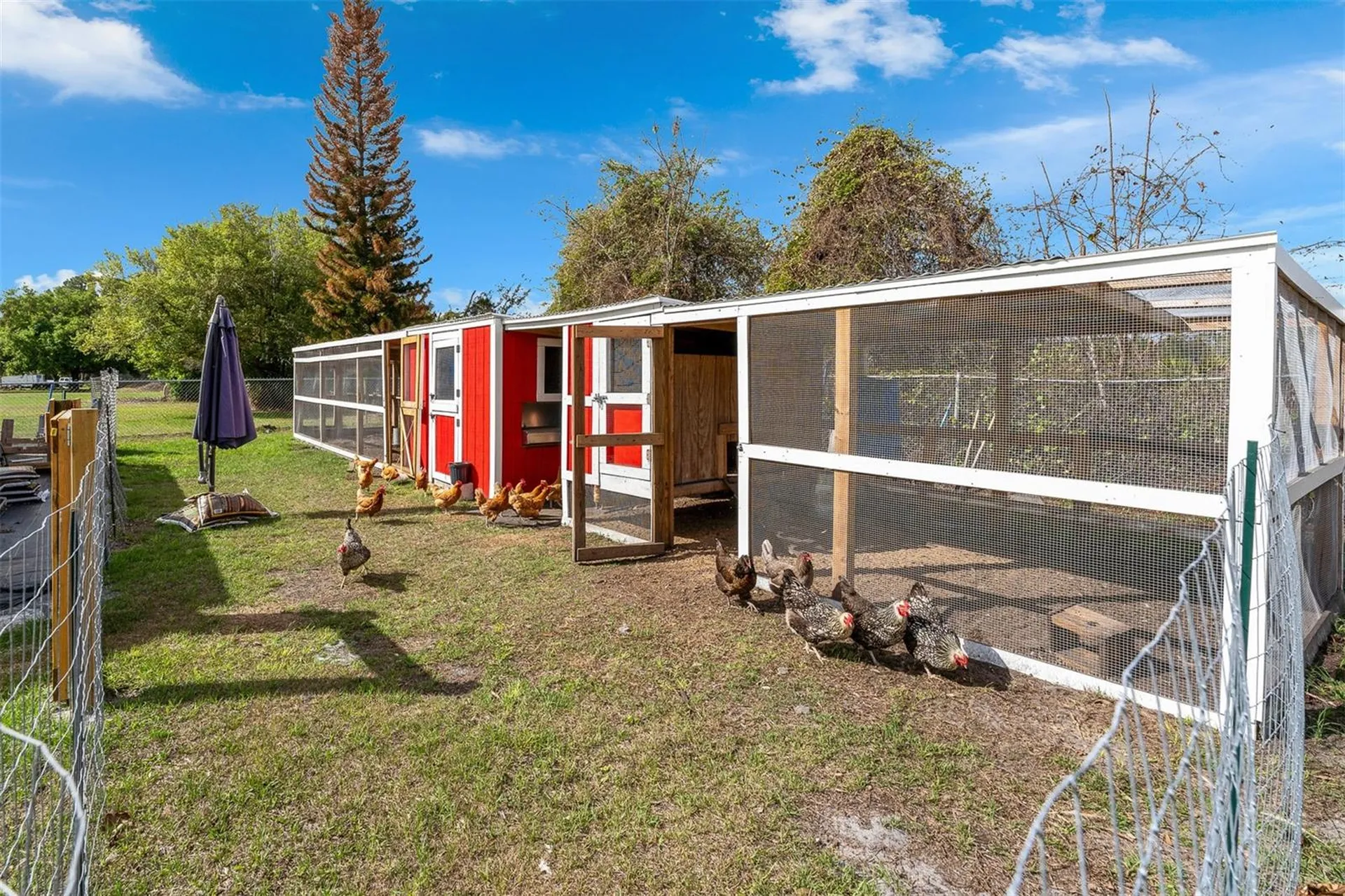 8704 Benoit Avenue Orlando FL 32836