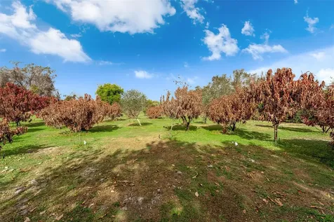 8704 Benoit Avenue Orlando FL 32836