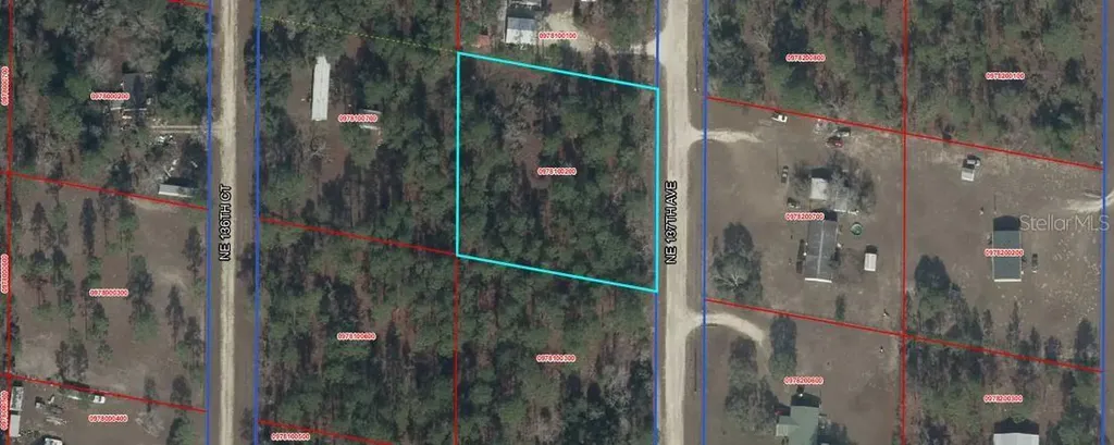 00 NE 137th Avenue Williston FL 32696
