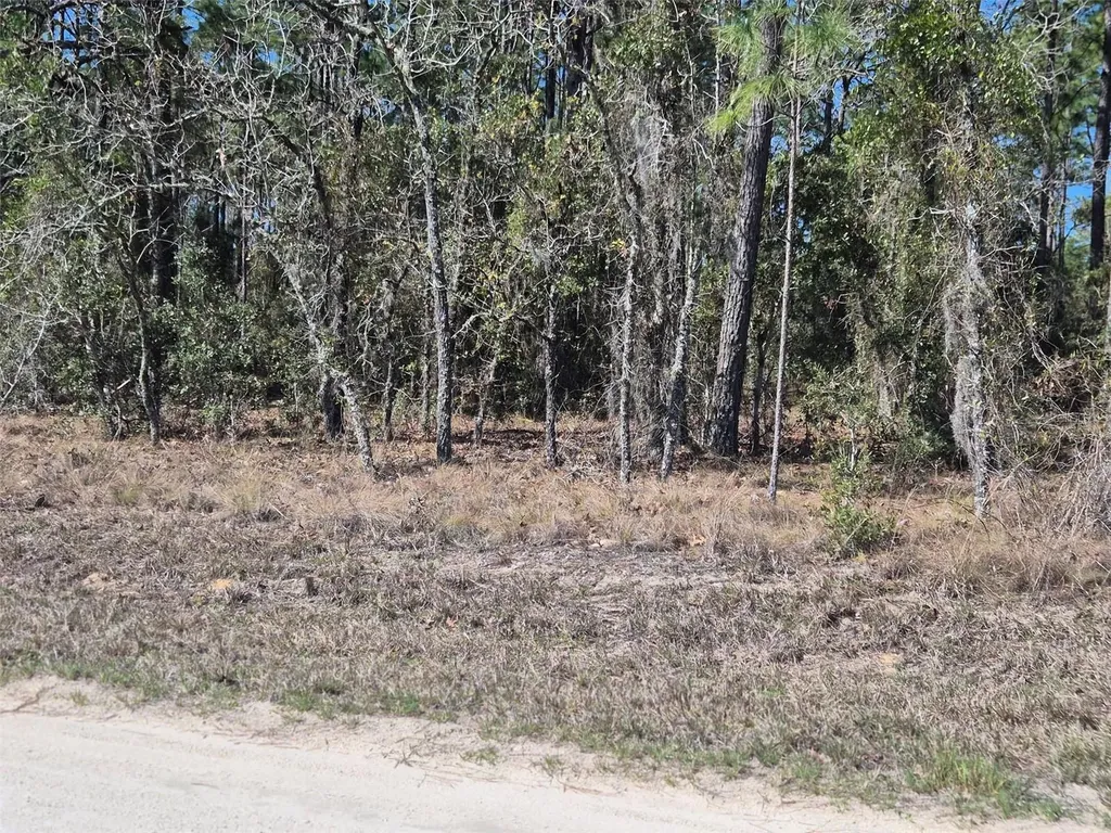 00 NE 137th Avenue Williston FL 32696