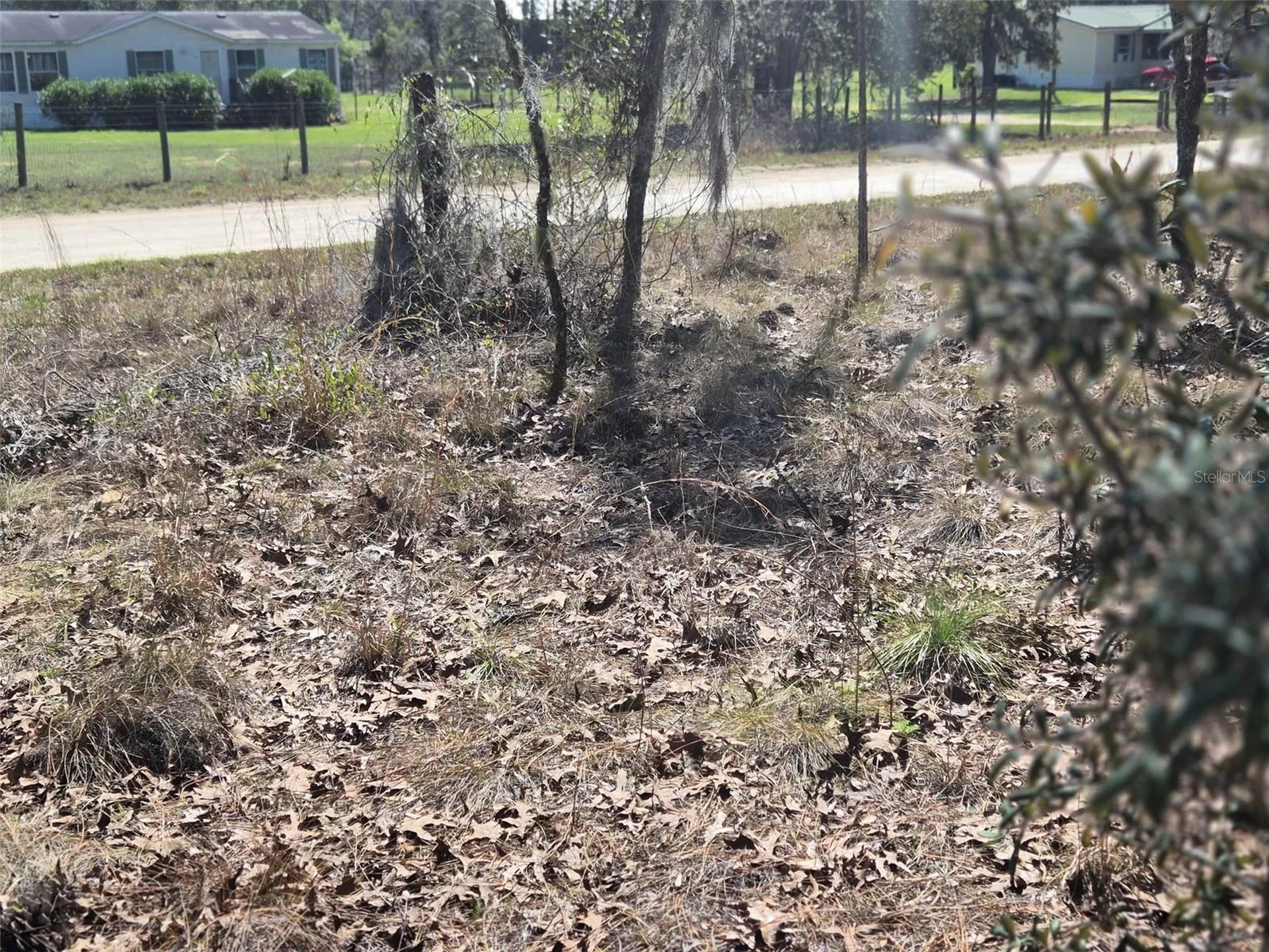 00 NE 137th Avenue Williston FL 32696