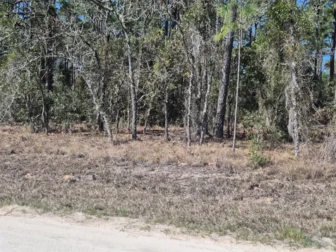 00 NE 137th Avenue Williston FL 32696