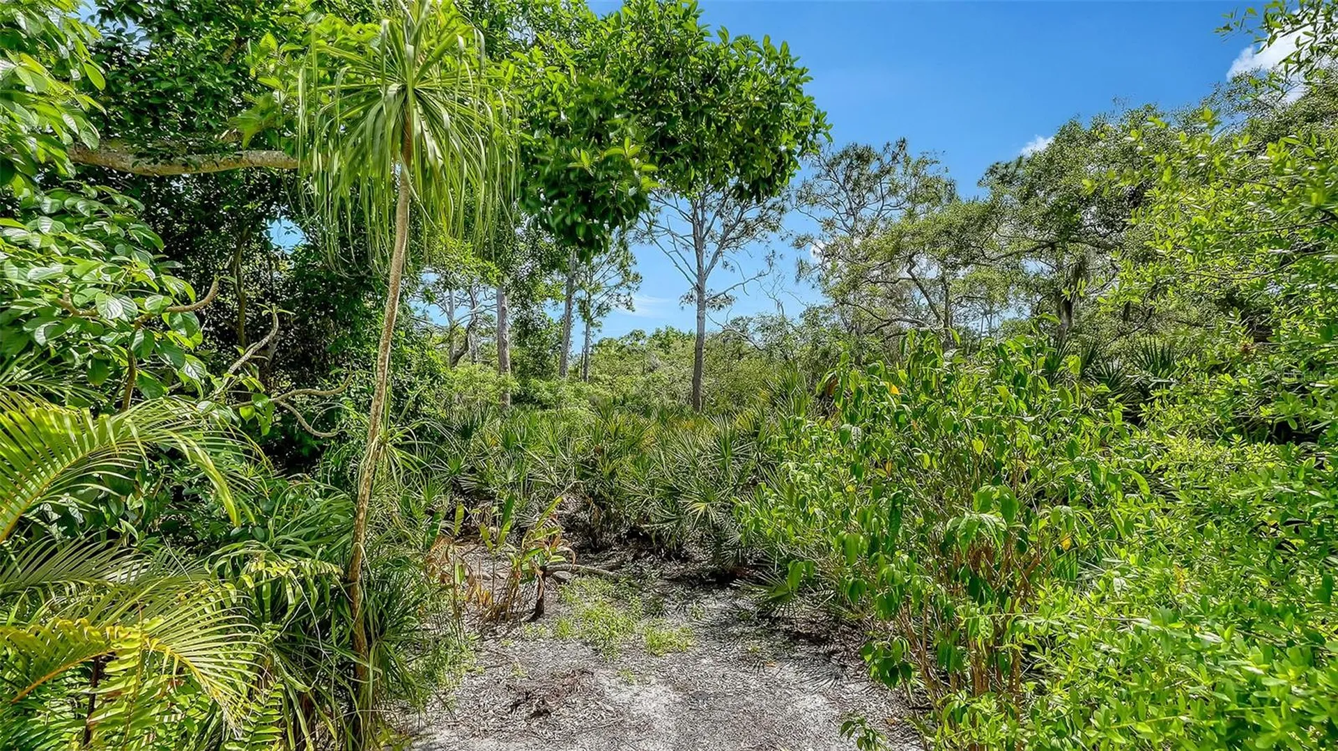 61 Bayhead Lane Osprey FL 34229