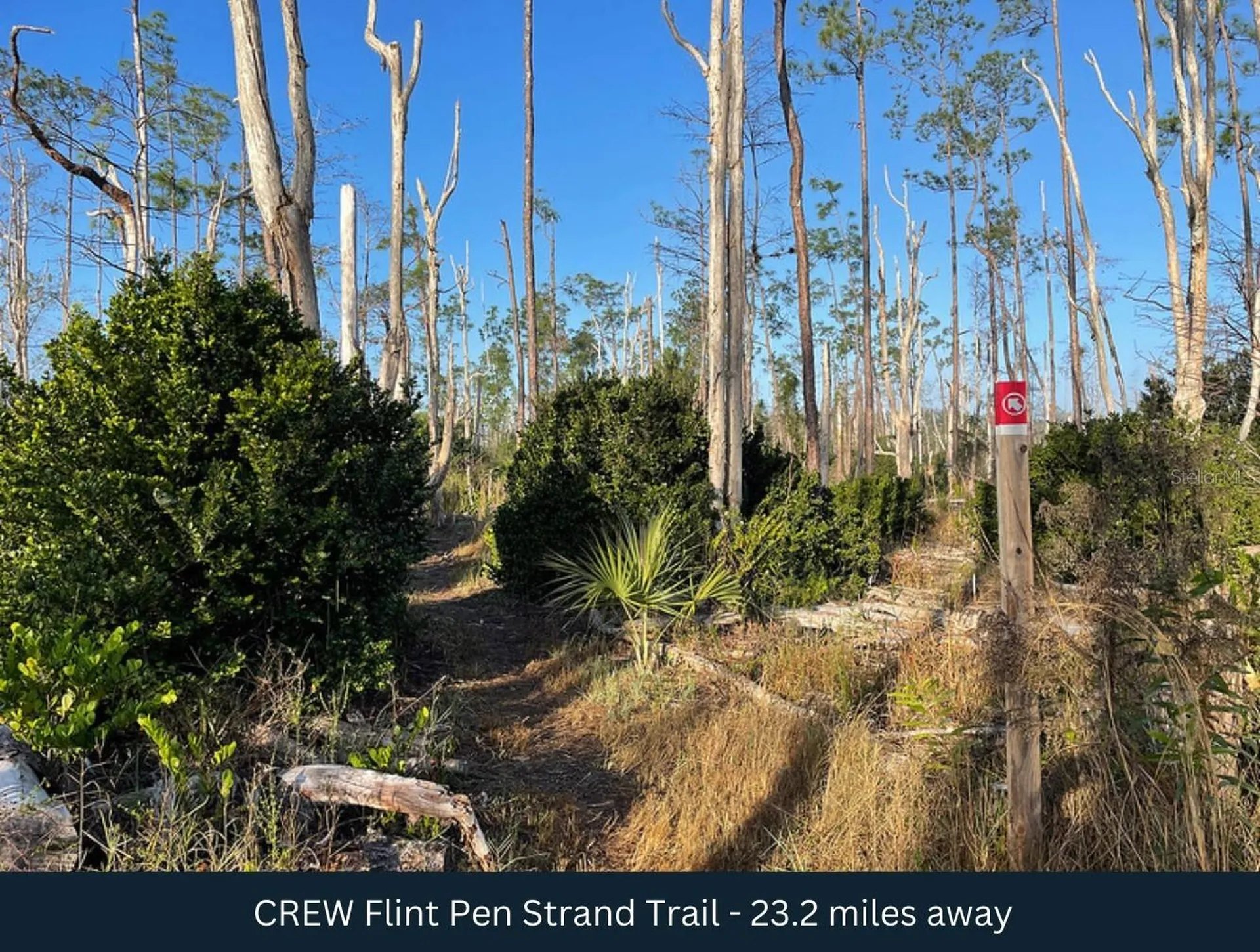 72ND Avenue NE Naples FL 34120