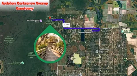 72ND Avenue NE Naples FL 34120