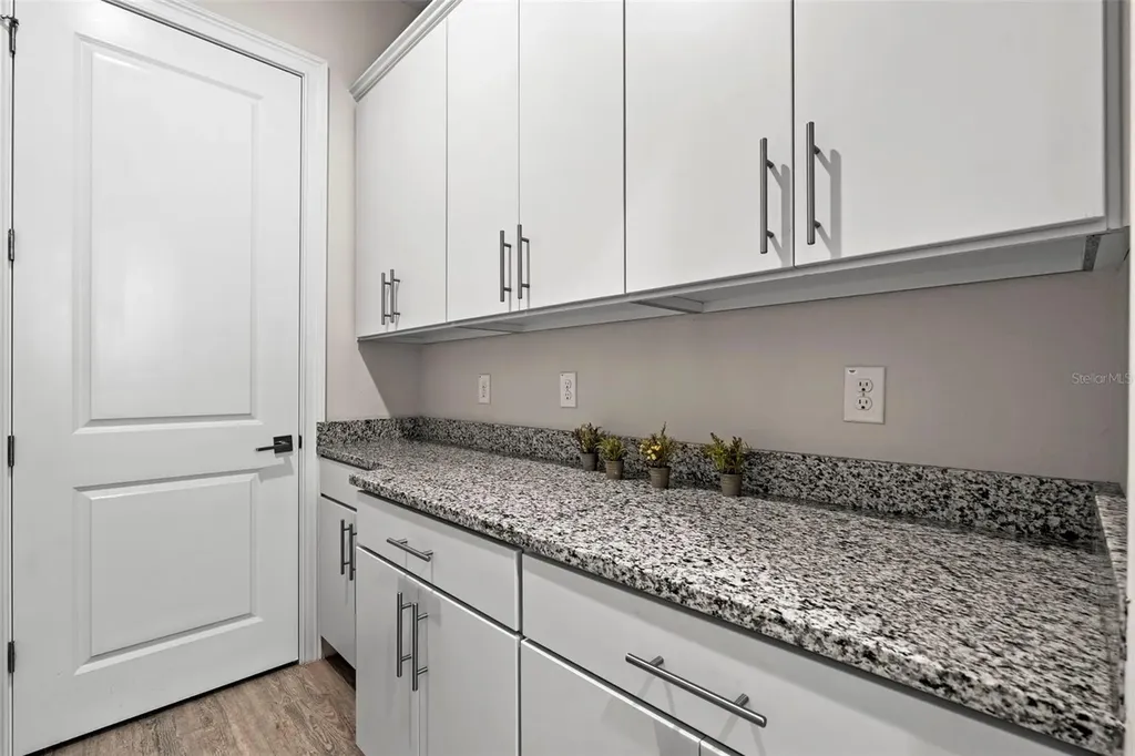 31865 Tortuga Shore Loop Wesley Chapel FL 33545