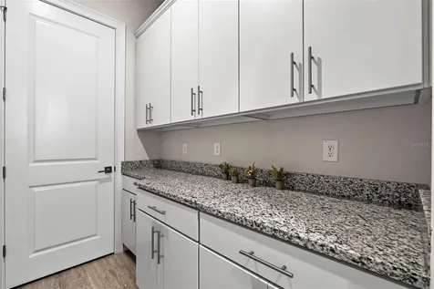 31865 Tortuga Shore Loop Wesley Chapel FL 33545