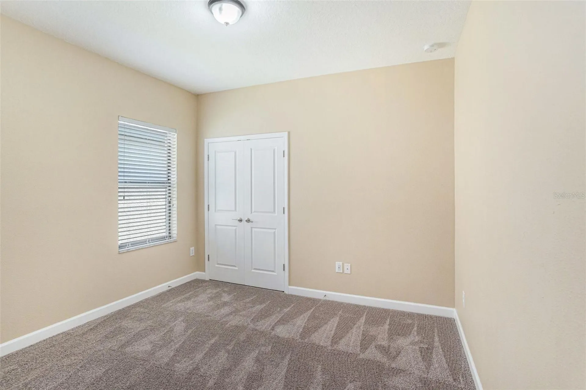 11944 N Cinnamon Fern Drive Riverview FL 33579