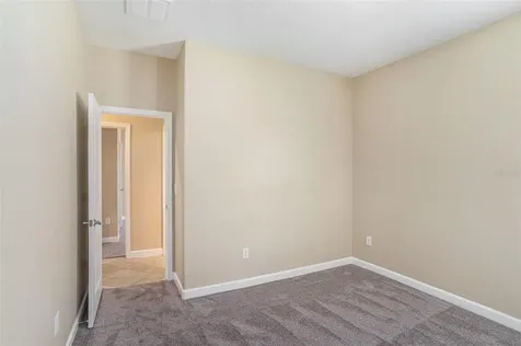11944 N Cinnamon Fern Drive Riverview FL 33579