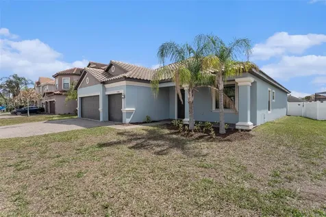 11944 N Cinnamon Fern Drive Riverview FL 33579