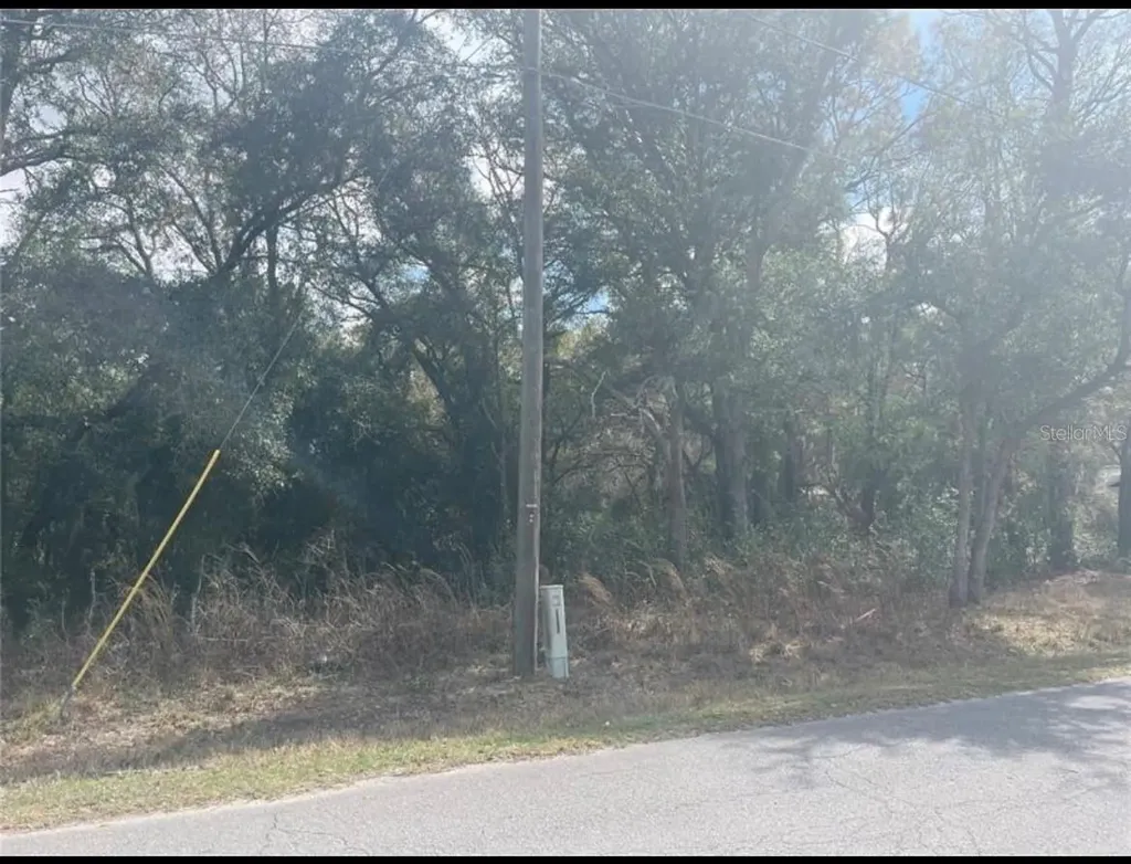 Tbd 94th Avenue Belleview FL 34420