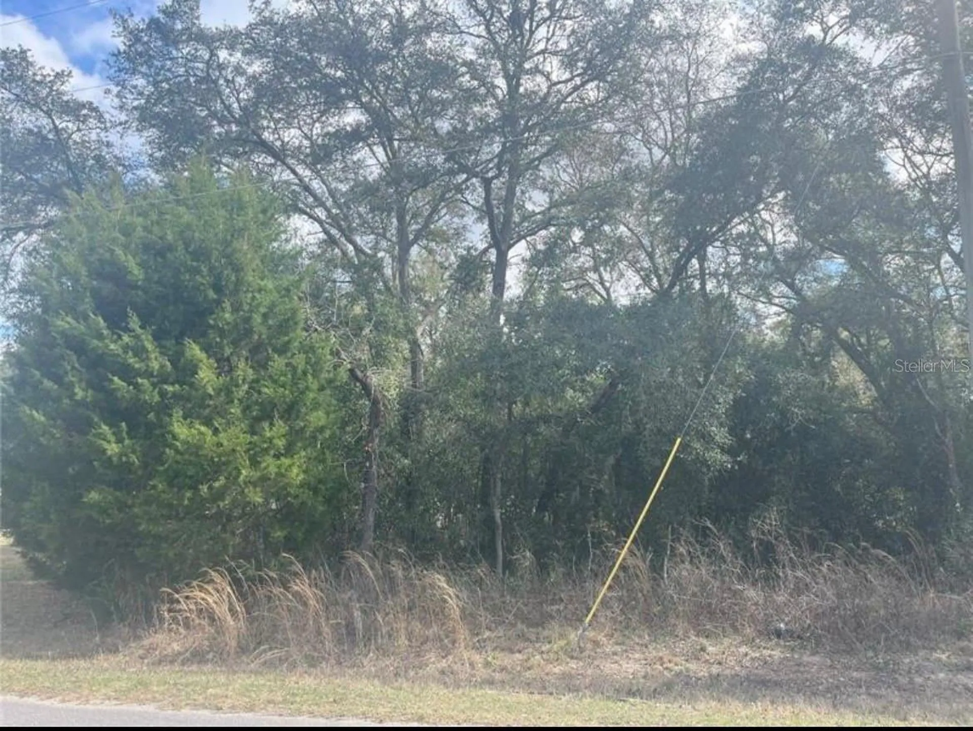Tbd 94th Avenue Belleview FL 34420