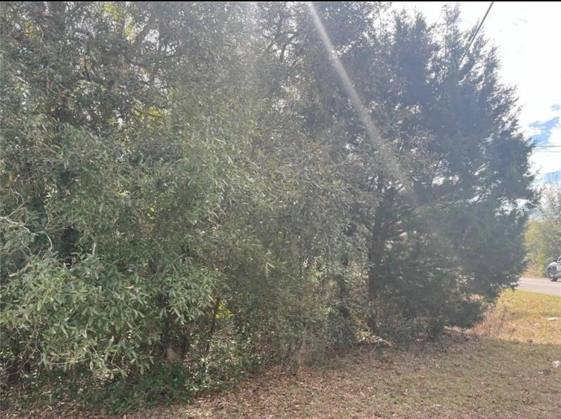 Tbd 94th Avenue Belleview FL 34420