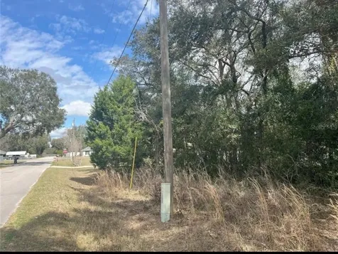 Tbd 94th Avenue Belleview FL 34420